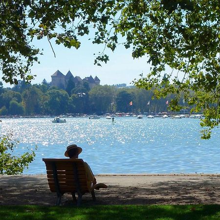 Charmant T3 Renove En Centre-Ville D'Annecy Avec Balcon, Ascenseur Et Parking Prive - Fr-1-432-83 Экстерьер фото